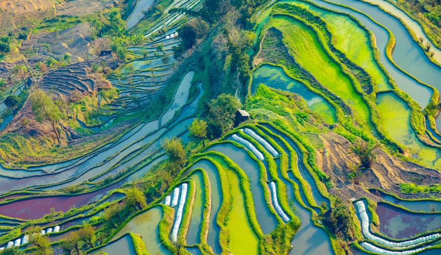 宝妈必备神器：丰城市产品视频拍摄轻松育儿好帮手